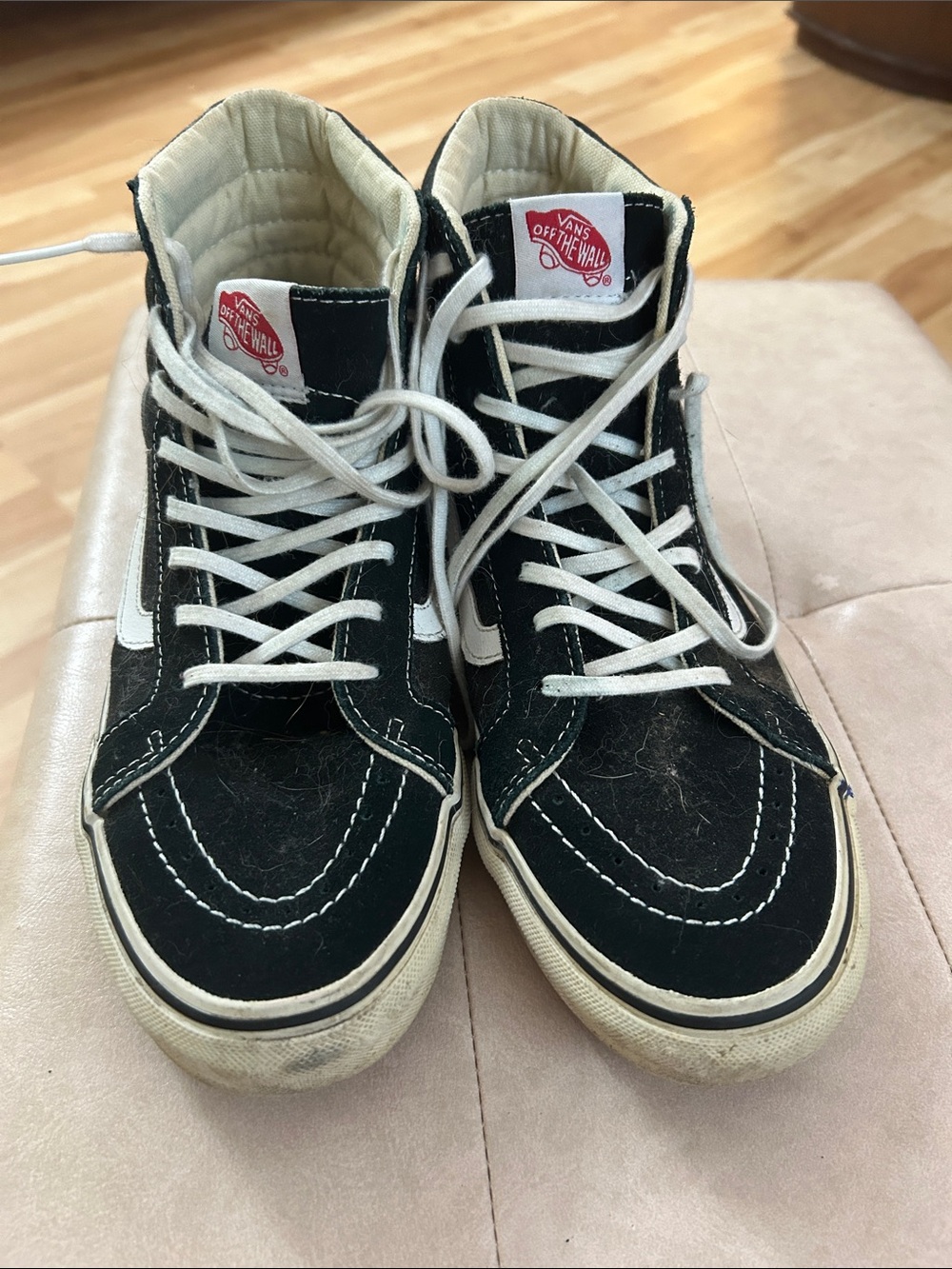 Vans Black & White High Top Skate Sneakers